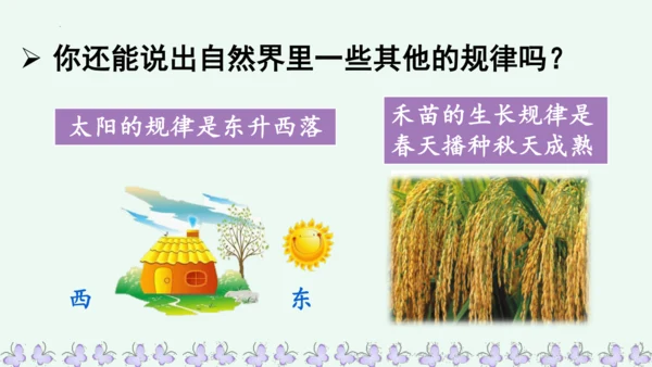 22小毛虫  课件