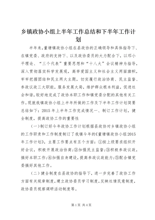 乡镇政协小组上半年工作总结和下半年工作计划.docx