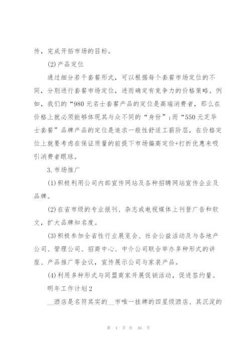 明年工作计划范本10篇.docx