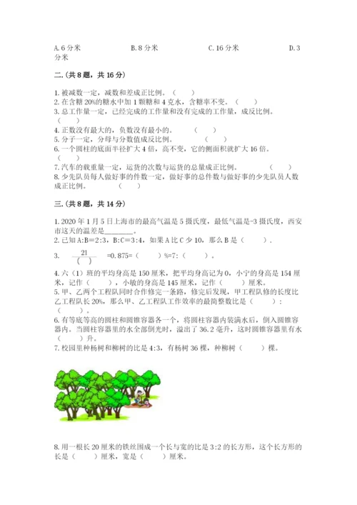 人教版数学小升初模拟试卷含完整答案【典优】.docx