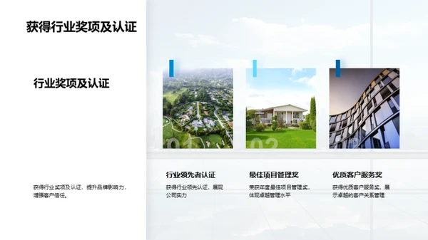 20XX年度绩效与挑战