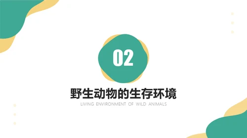 保护野生动物斑马通用PPT模板