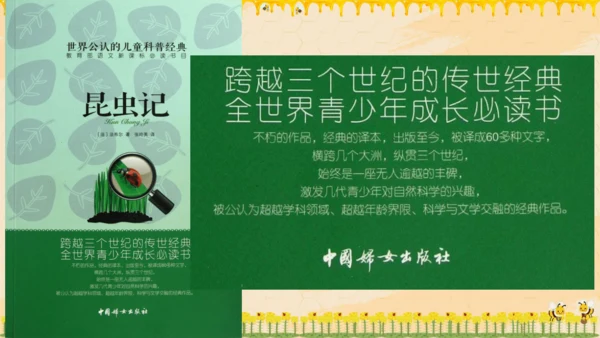 14《蜜蜂》课件