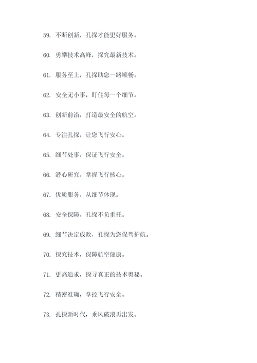 飞机孔探的专业标语