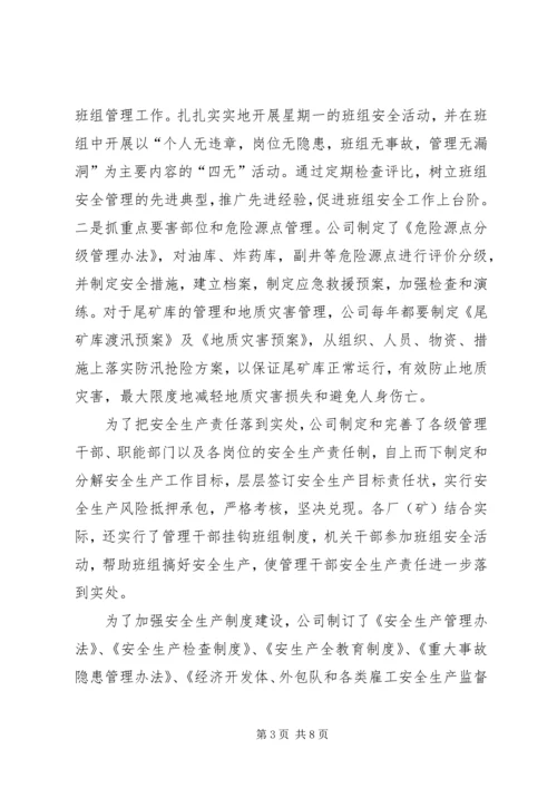 国有大型铜业联合企业安全工作汇报.docx