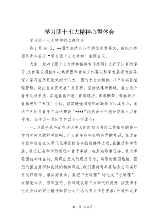 学习团十七大精神心得体会 (2).docx