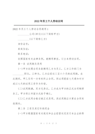 2022年员工个人劳动合同.docx