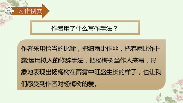 第五单元习作例文我爱故乡的杨梅