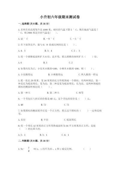 小升初六年级期末测试卷（能力提升）.docx