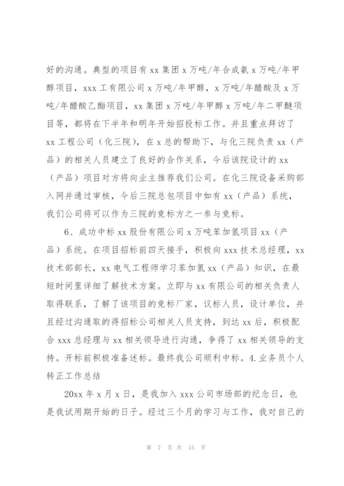 业务员个人转正工作总结5篇.docx