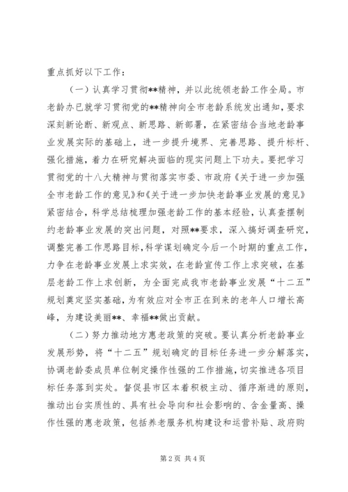 市老龄办年度工作计划 (3).docx