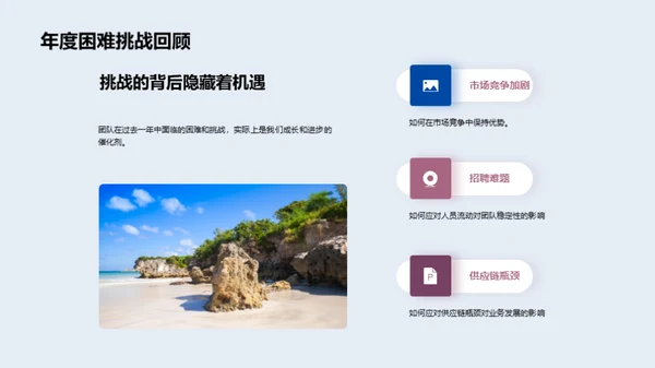 团队年度成就与展望