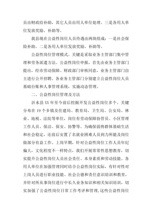 公益性岗位开发管理情况的调研研究报告.docx