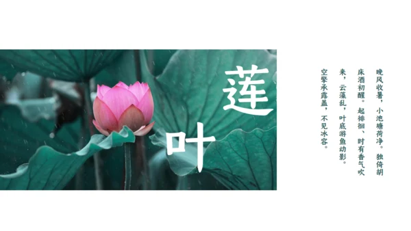 夏雨荷通用PPT模板
