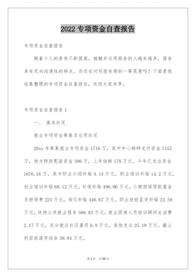 2022专项资金自查报告.docx