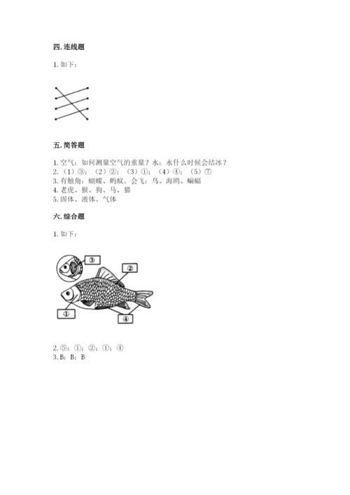 教科版一年级下册科学期末测试卷（精华版）.docx