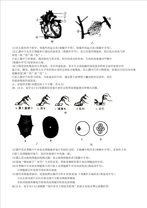 2017年辽宁省盘锦市初中结业考试生物模拟试卷有答案