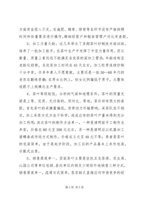 名优茶生产情况调研报告 (3).docx