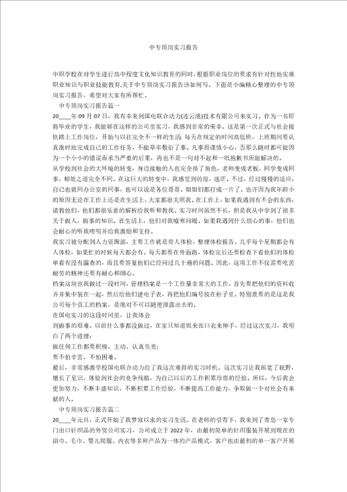 中专顶岗实习报告