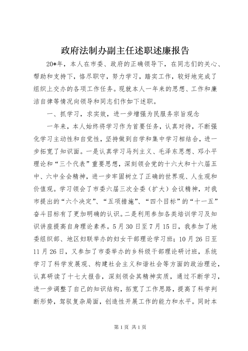 政府法制办副主任述职述廉报告.docx