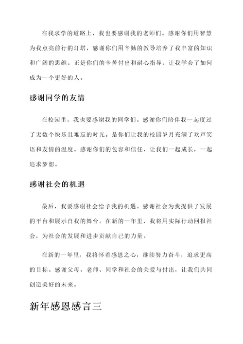 新年感恩感言