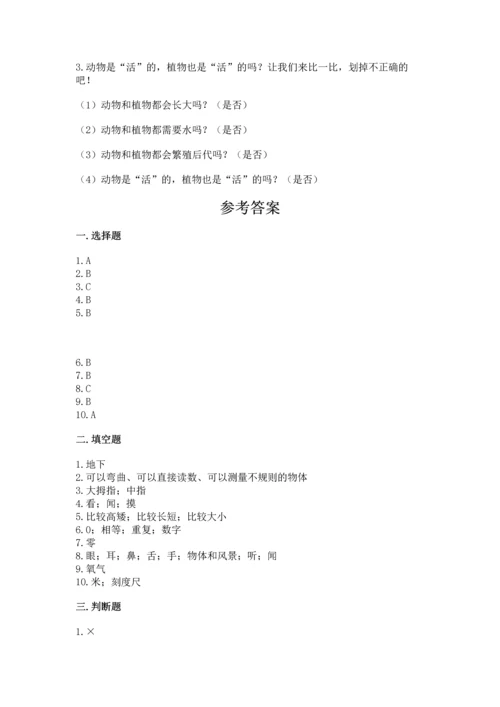 教科版一年级上册科学期末测试卷精品（夺冠系列）.docx