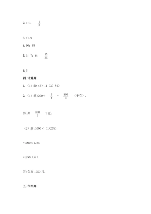 人教版六年级下册数学期末测试卷加答案(A卷).docx