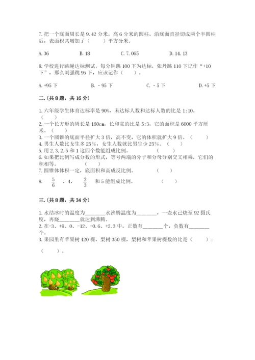 苏教版数学六年级下册试题期末模拟检测卷【考点提分】.docx