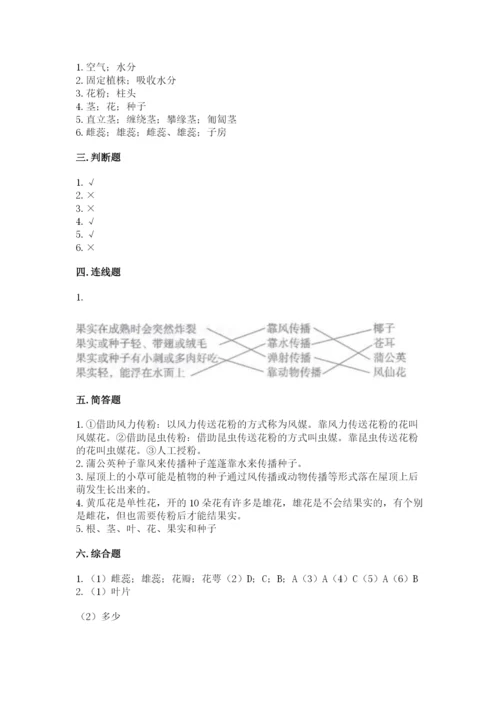 科学四年级下册第一单元植物的生长变化测试卷新版.docx