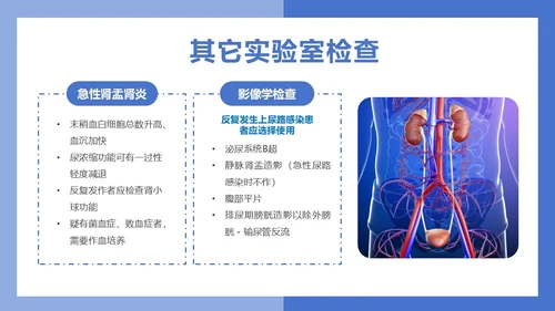 医疗风医疗泌尿系感染PPT模板
