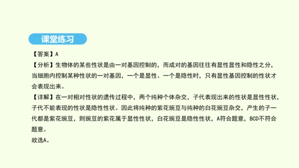 7.2.3基因的显性和隐性课件-人教版生物八年级下册(共31张PPT)