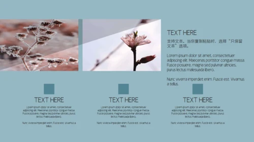 素雅文艺风摄影作品集通用PPT相册模板