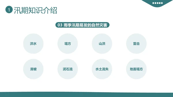 防洪防汛安全教育知识培训PPT课件