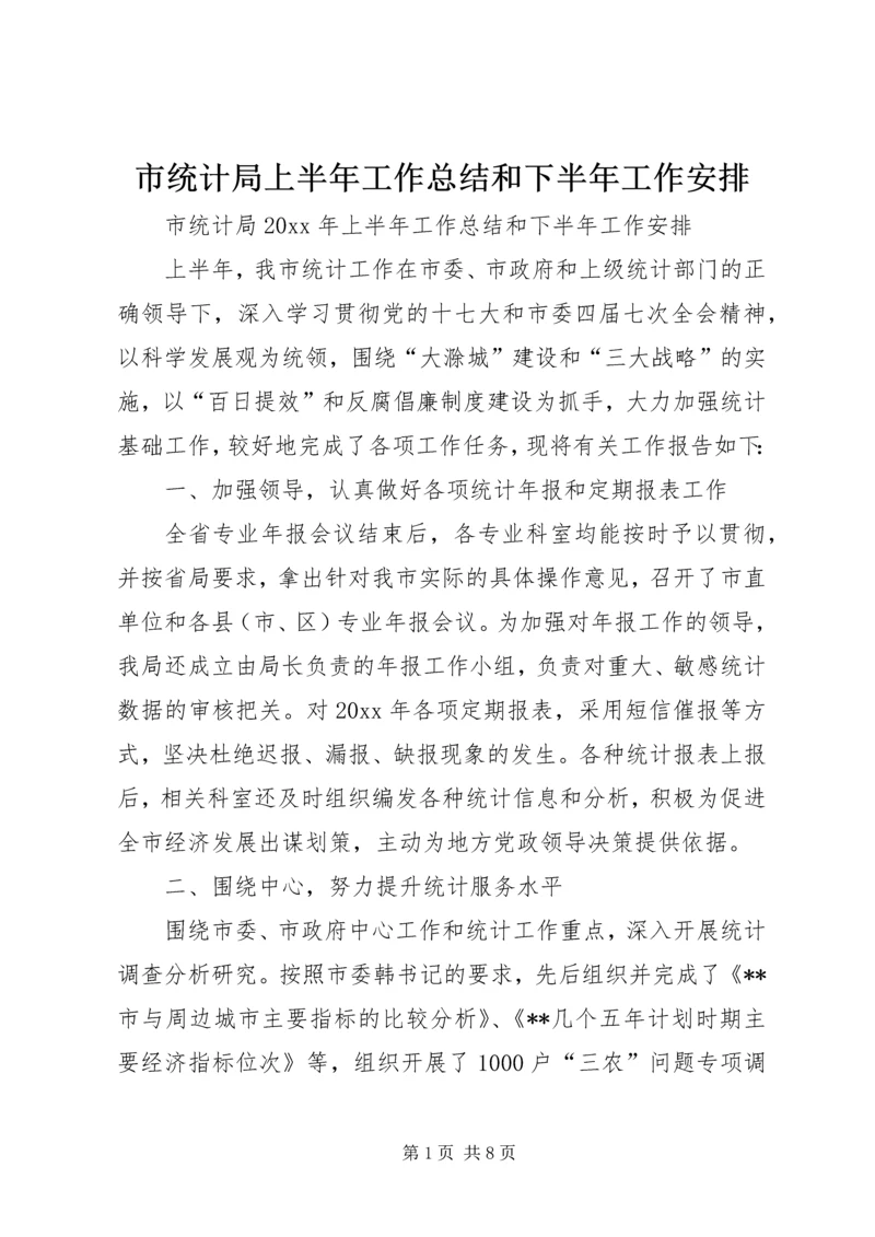 市统计局上半年工作总结和下半年工作安排 (2).docx