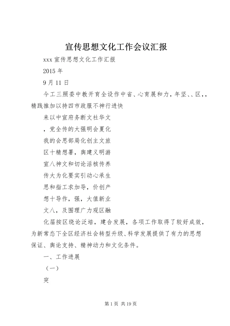 宣传思想文化工作会议汇报 (5).docx