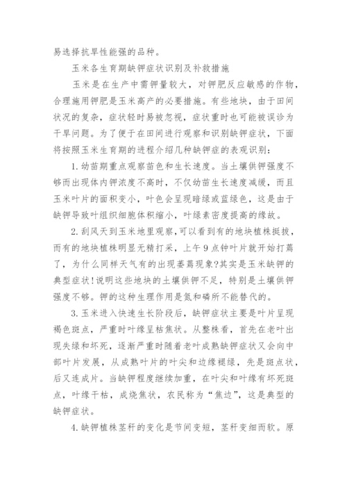 玉米高产种植方案.docx