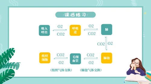 人教版七年级生物通用PPT教学课件