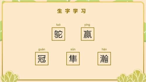 部编版五年级上第七课什么比烈豹的速度更快PPT模板