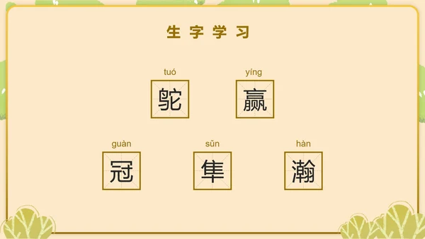部编版五年级上第七课什么比烈豹的速度更快PPT模板