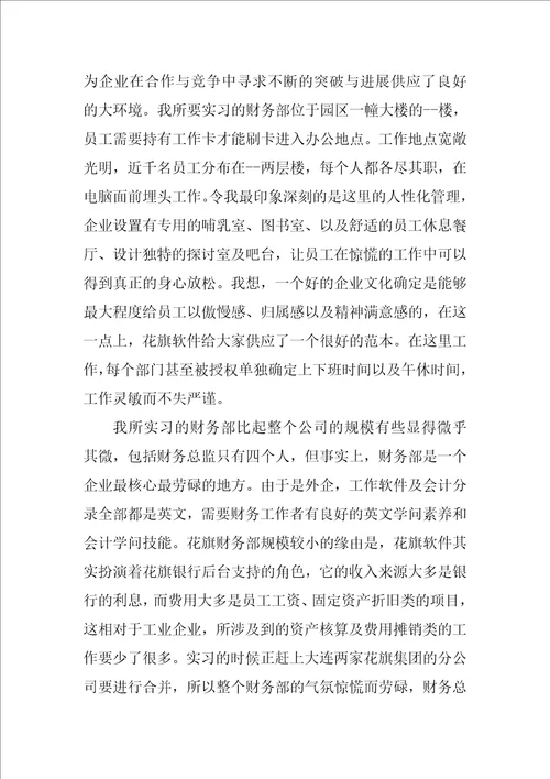2023年件技术服务公司财务实习报告
