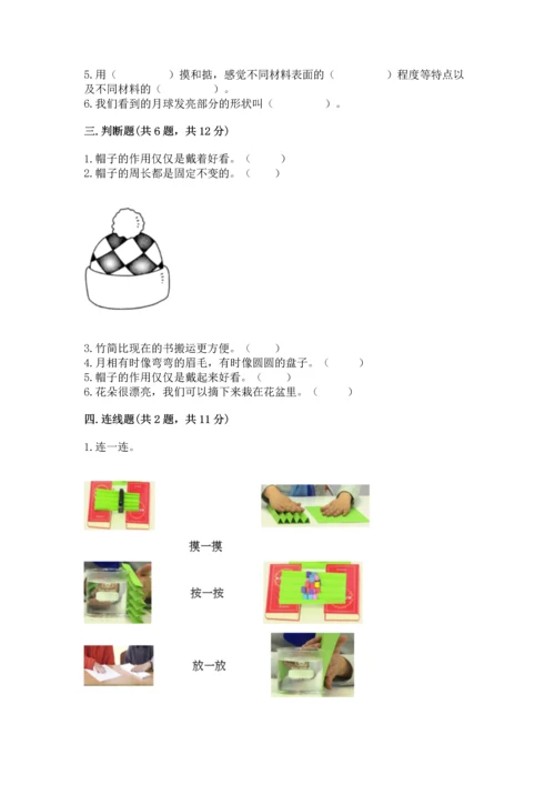 教科版二年级上册科学期末测试卷及1套参考答案.docx