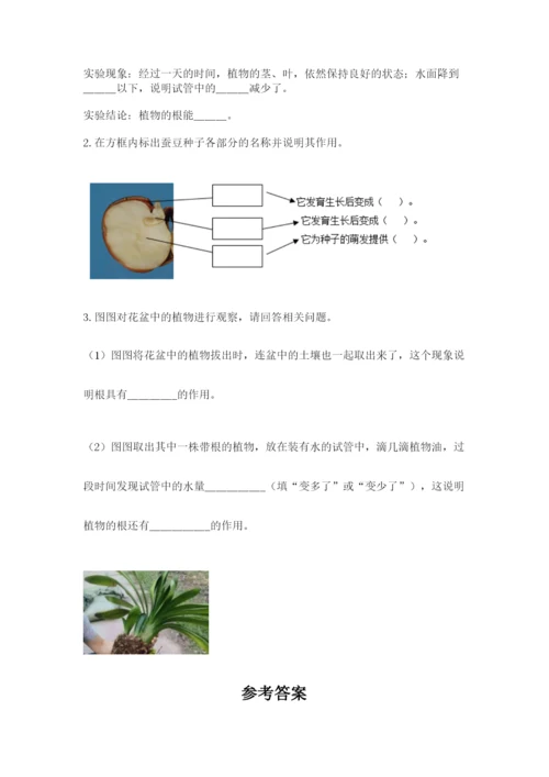 科学四年级下册第一单元植物的生长变化测试卷及答案【真题汇编】.docx