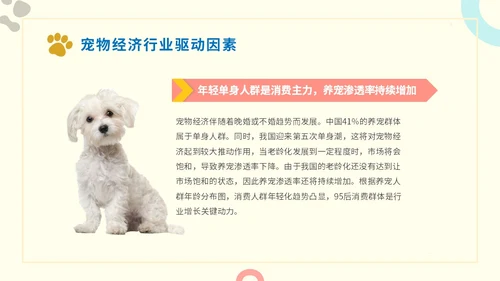简约实图狗宠物经济行业前景分析报告汇报模板