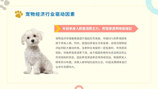 简约实图狗宠物经济行业前景分析报告汇报模板