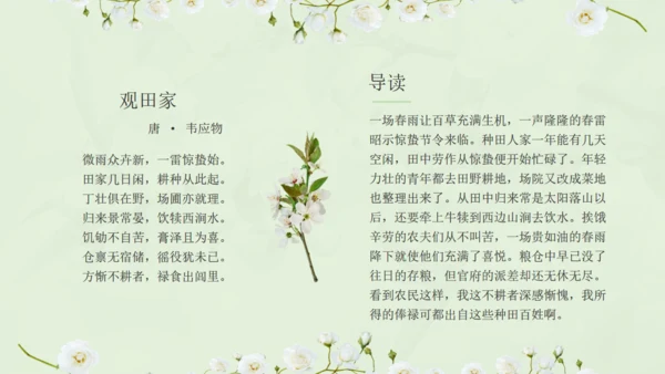 惊蛰淡绿色二十四节气实践教学课件通用PPT模板