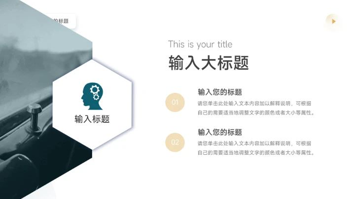 黄蓝简约植系自然电商促销策划PPT模板