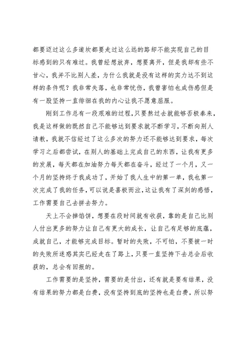 大学生毕业实习工作总结1000字(共3页)