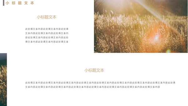 清新唯美商务商业计划书通用PPT模板