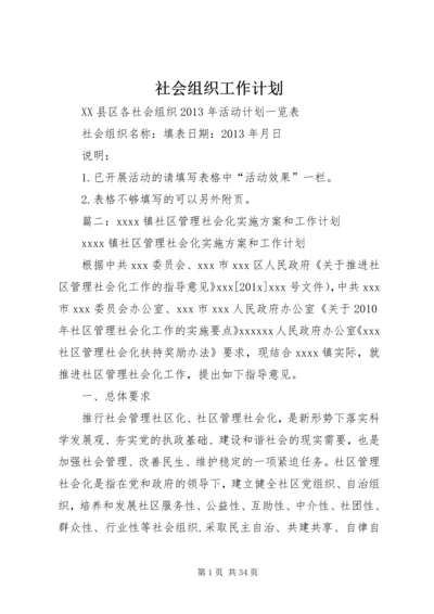 社会组织工作计划.docx