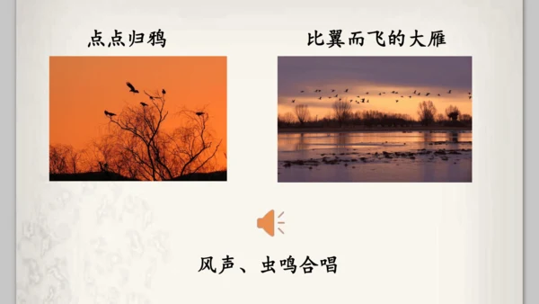 《四季之美》